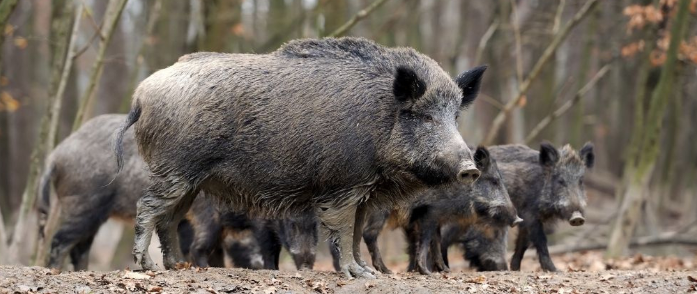 Projekt bez nazwy 2025 06 26T202235.599 e1751480169960