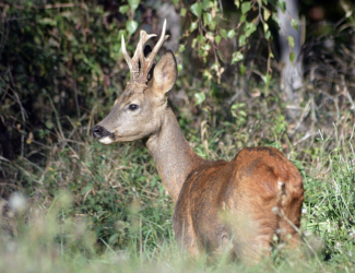 Projekt bez nazwy 2025 06 26T203354.618