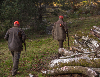 Projekt bez nazwy 2025 07 02T192146.580