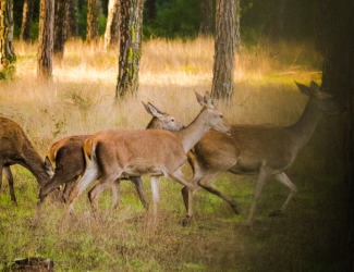 Projekt bez nazwy 2025 07 02T192305.537