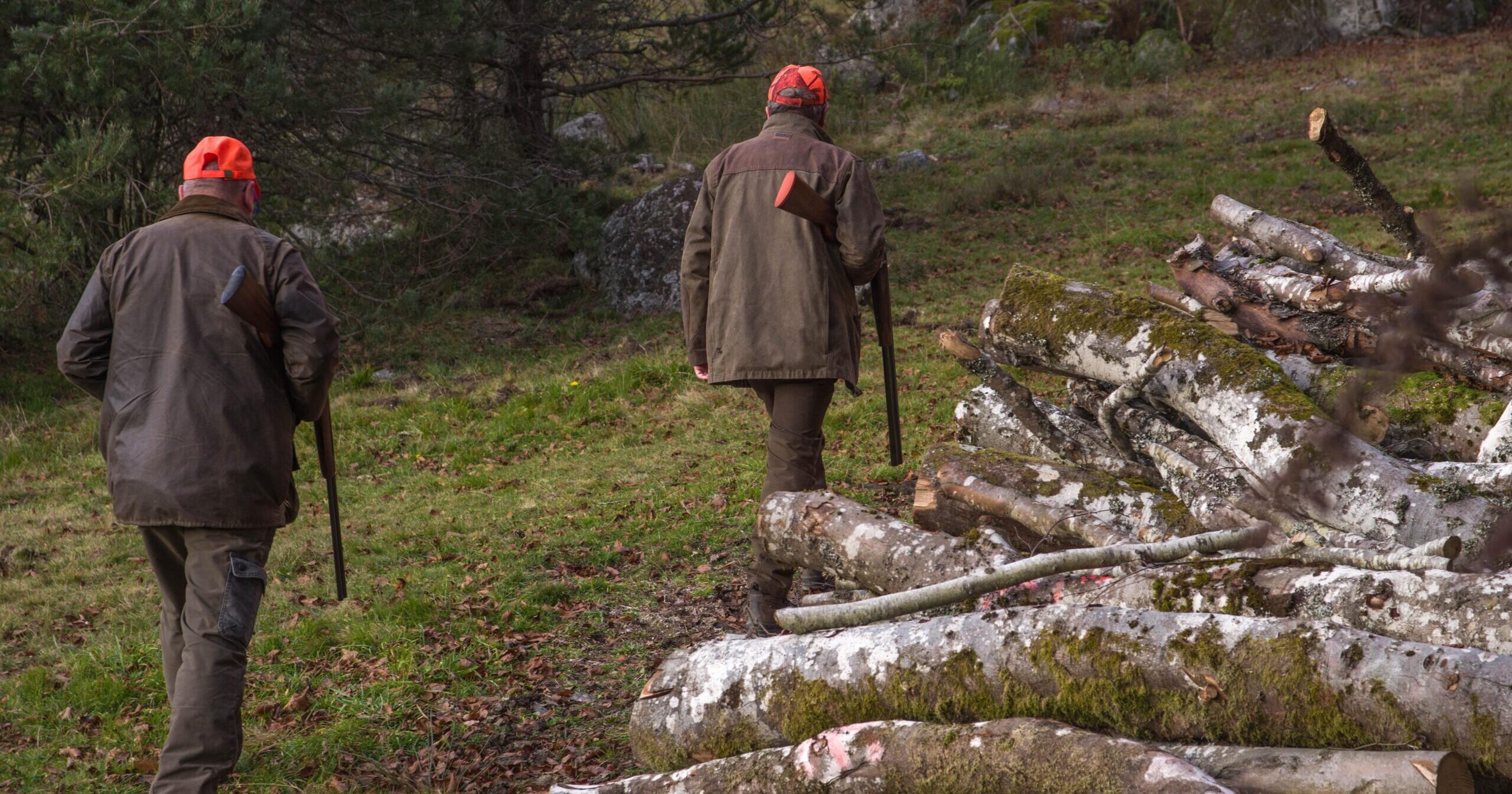 hunt 6789253 scaled e1751483721207